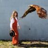 albatrossm